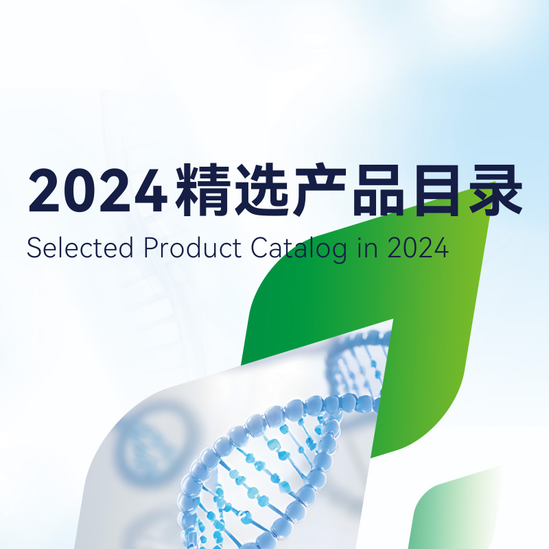 2024精选产品目录册