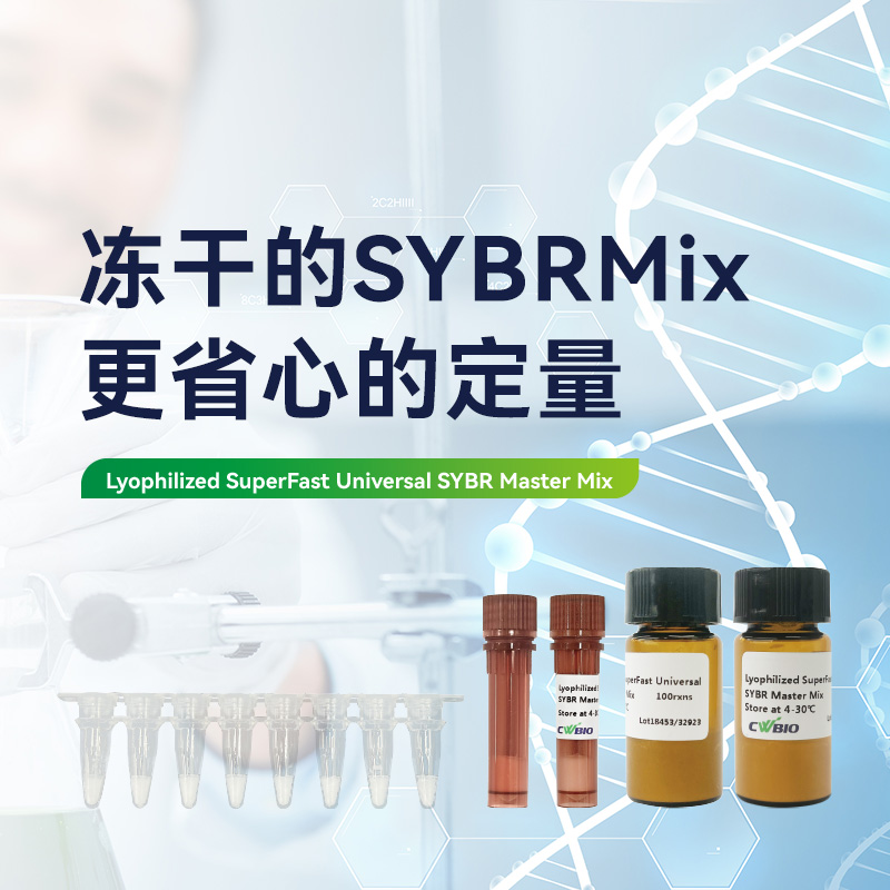 （已压缩）CW3364 Lyophilized SuperFast Universal SYBR Master Mix-LYOSYBRMIX202401A.